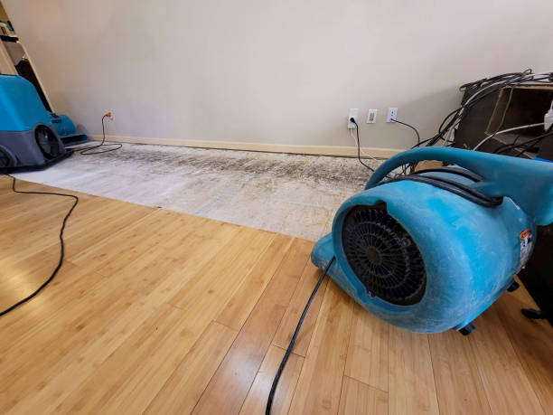 Professional Structural Drying technician working in Carrollton, GA